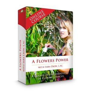 A Flower's Power A Course In Flower Essences