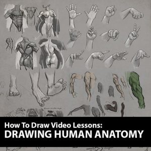 Aaron Blaise Drawing Human Anatomy