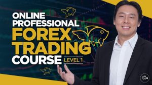 Adam Khoo Forex Trading Course Level 1