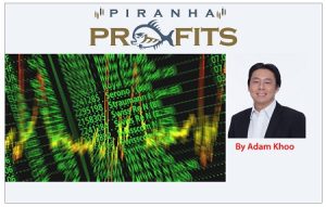 Adam Khoo Stock Trading Course Level 1 Profit Snapper