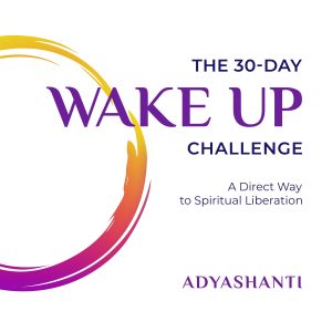 Adyashanti The 30-Day Wake Up Challenge A Direct Way to Spiritual Liberation