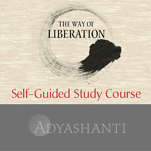 Adyashanti The way of Liberating Insight Study Course