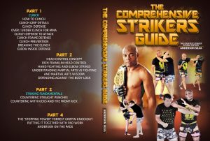 Anderson Silva The Comprehensive Striker's Guide