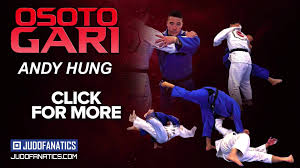 Andy Hung Osoto Gari