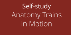 Art Of Motion Anatomy Trains in Motion (ATiM)