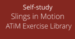 Art Of Motion Slings in Motion ATiM Exercise Library