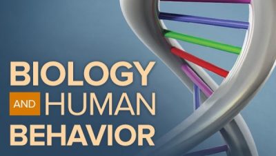 Biology and Human Behavior