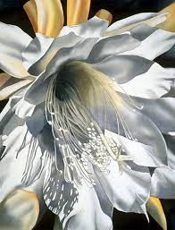 Birgit O'Connor Backgrounds & Shadows Special 6-week Interactive course
