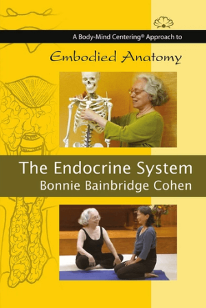 Bonnie Bainbridge Cohen Embodied Anatomy and the Endocrine System