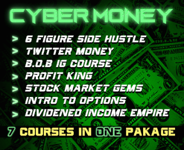 CHRIS JOHNSON CYBER MONEY