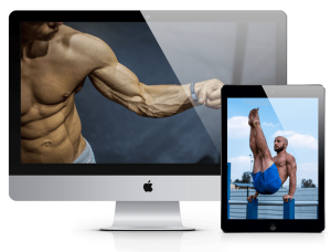 Calisthenics Movement Complete Calisthenics Level 1 to 5 Bundle