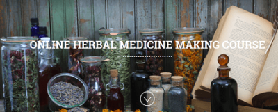 Chestnut Herbs Online Herbal Medicine Making Course