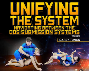 Garry Tonon Unifying The Systems