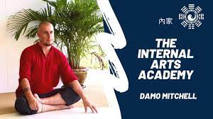 Damo Mitchell - Internal Arts Academy - Online Nei Gong Program Year 2