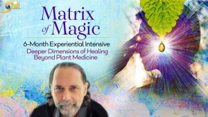 David Crow Matric of Magic 6 Month Experiential Intensive