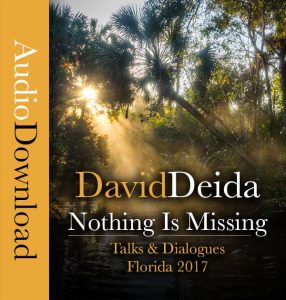 David Deida – Nothing is Missing (Florida 2017 talk)