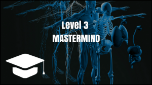 David Fleming Applied Movement Neurology Academy Tier 3 Courses Level 3 Mastermind