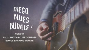 David Wallimann and Robert Renman MEGA BLUES BUNDLE