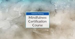 Debra Alvis 2-Day Intensive Training Mindfulness Certification Course