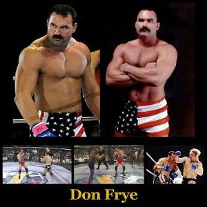 Don Frye Predator NHB Fighting System