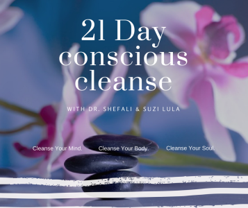 Dr. Shefali & Suzi Lula The 21 Day Conscious Cleanse