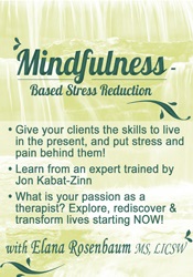 Elana Rosenbaum Mindfulness Based Stress Reduction