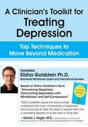 Elisha Goldstein A Clinician's Toolkit for Treating Depression Top Techniques to Move Beyond Medication