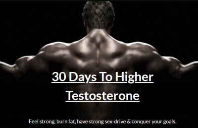 Ergogenic Health 30 Days To Higher Testosterone (Underground Hacks)