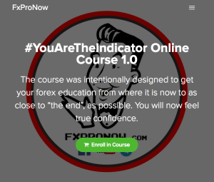 FxProNow You AreThe Indicator Online Course