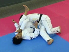 Gerson Sanginitto Dynamic Brazilian Jiu-jitsu Passing the Guard