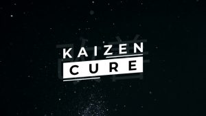 Iman Gadzhi Kaizen Cure (Premium Student Discount)
