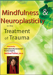 Janina Fisher Mindfulness and Neuroplasticity in the Treatment of Trauma