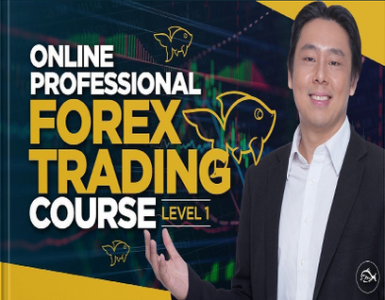 Jarratt Davis Forex Trading Course