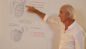 Jean-Pierre Barral Advanced Visceral Manipulation Thorax