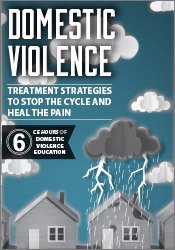 Joan Benz Domestic Violence Treatment Strategies to Stop the Cycle and Heal the Pain