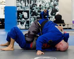 John Danaher Half Guard Passing and Dynamic Pins