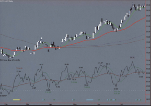 John Hayden RSI. The Complete Guide