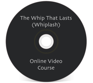 John Iams PRRT Mini Course The Whip That Lasts