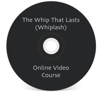 John Iams PRRT Mini Course The Whip That Lasts