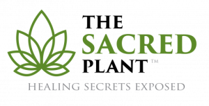 John Malanca The Sacred Plant How To Make It Work For You Masterclass