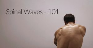 Jon Yuen Spinal Waves 101