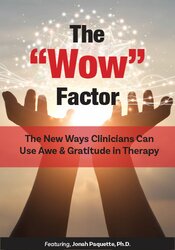 Jonah Paquette The “Wow” Factor The New Ways Clinicians Can Use Awe and Gratitude in Therapy