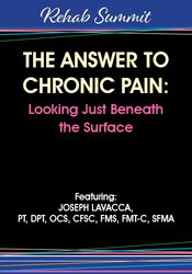 Joseph LaVacca The Answer to Chronic Pain Looking Just Beneath the Surface