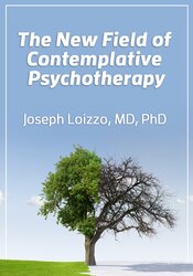 Joseph Loizzo The New Field of Contemplative Psychotherapy