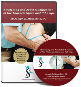 Joseph Muscolino – Stretching and Joint Mobilization of the Thoracic Spine and Rib Cage