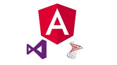 Learn Angular 8 by creating a simple Full Stack Web App