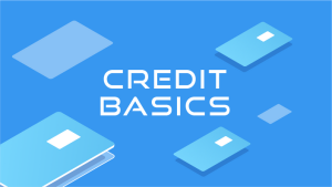 Learn Credit Credit Basics