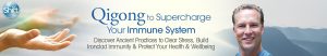 Lee Holden Qigong to Supercharge Your Immune System