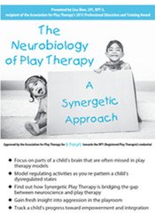 Lisa Dion The Neurobiology of Play Therapy A Synergetic Approach