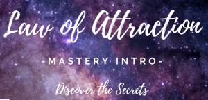 Live The Life You Love Law of Attraction Mastery